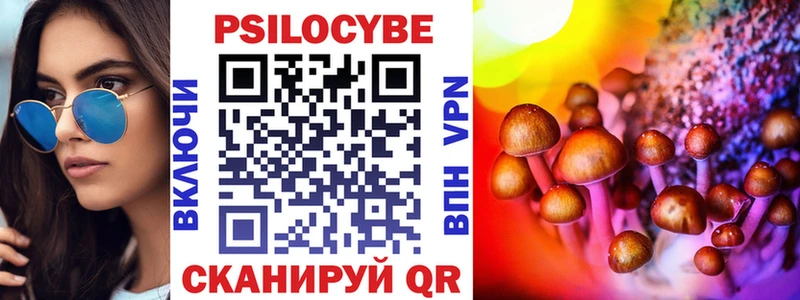 Купить  Скопин  Псилоцибиновые грибы GOLDEN TEACHER 